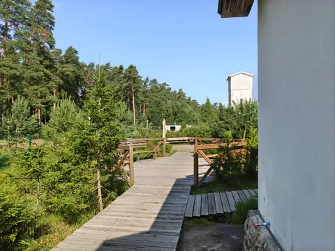 Деревянные дорожки